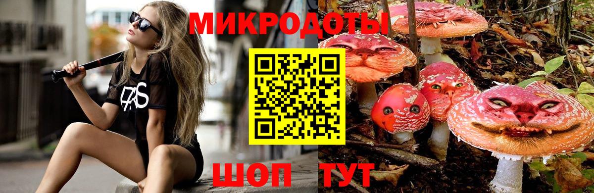 Галлюциногенные грибы ЛСД Курган