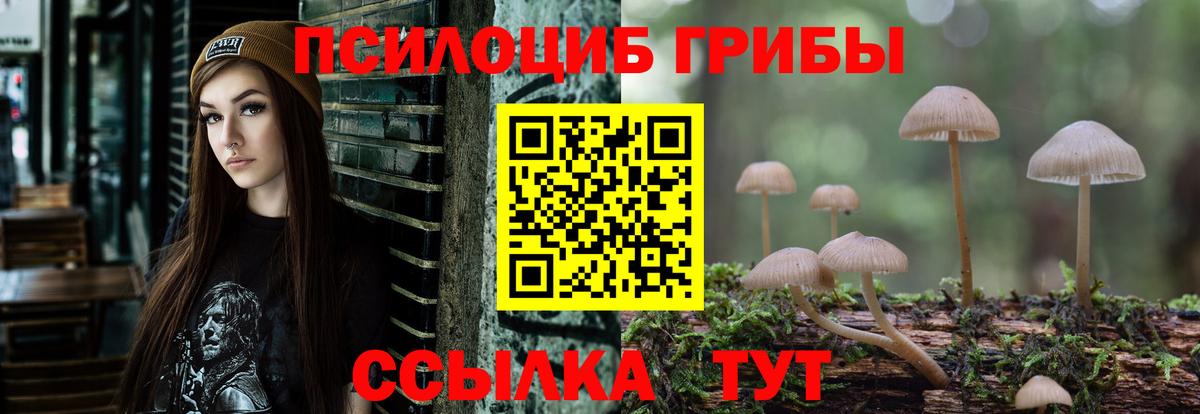 Галлюциногенные грибы Psilocybine cubensis  Псилоцибиновые грибы GOLDEN TEACHER  Вход с VPN  Курган 